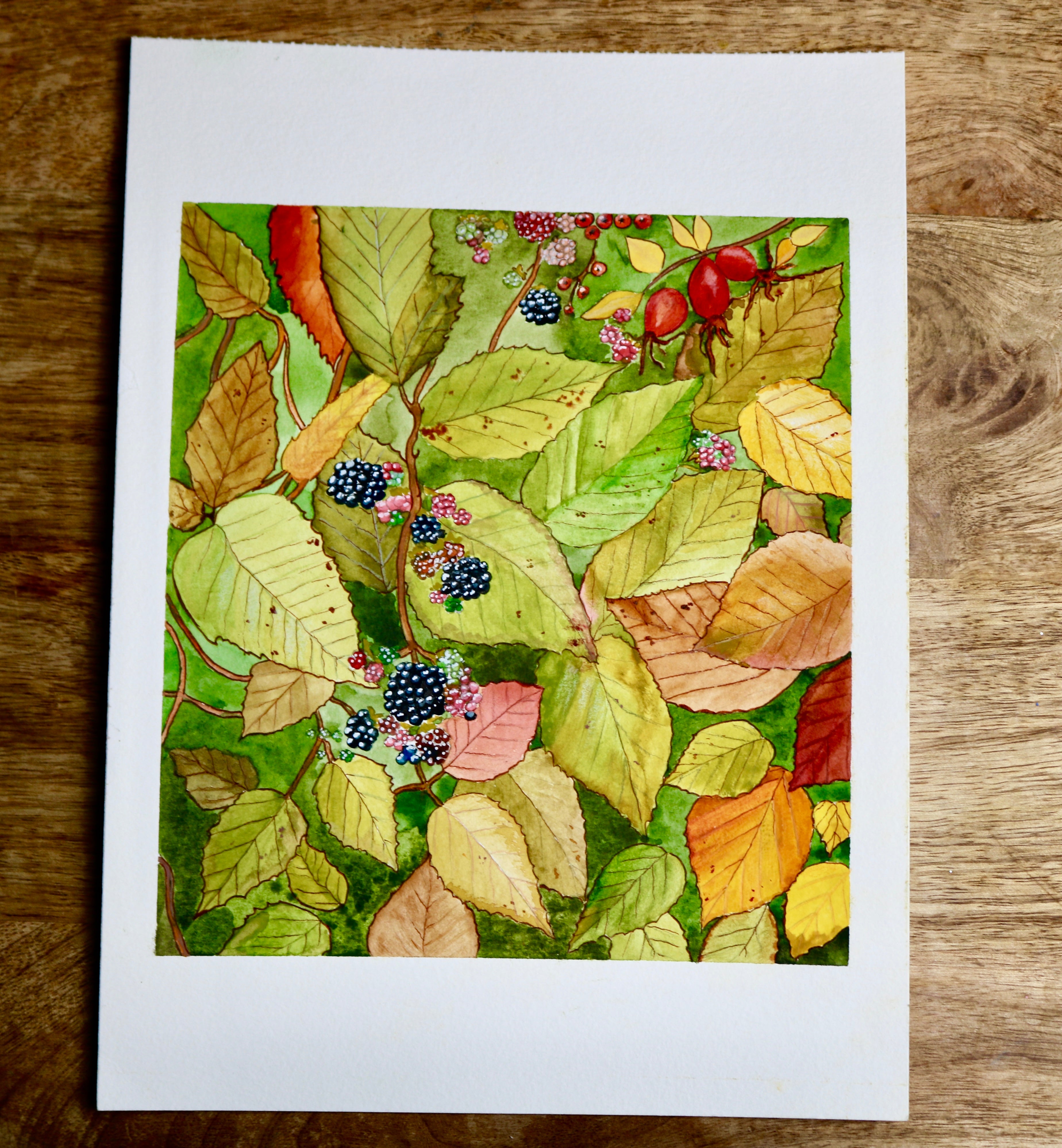 Illustration - "    " Gwennbleun